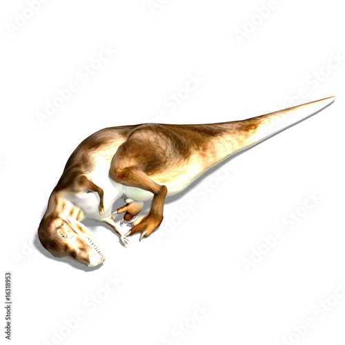 Illustration: Tyrannosaurus rex Tyrannosaurus rex