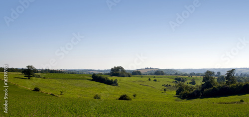 Foto: Green fields Green fields