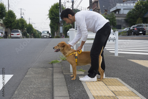 Photo: 盲導犬のパピーウォーカー 盲導犬のパピーウォーカー