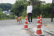 盲導犬のパピーウォーカー