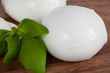Zwei Mozzarellakugeln