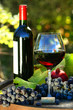 Glass of red wine with bottle and grapes