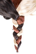 hair texture