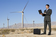 Mid adult businessman using laptop in desert