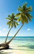 Plage tropicale Plage tropicale