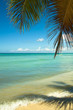 Plage tropicale