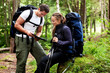 Map Forest Camping