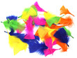des plumes multicolores des plumes multicolores