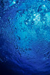 Photo: bubbles bubbles