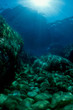 Photo: Mediterranean seabed Mediterranean seabed