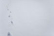 Footprints in snow