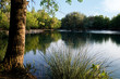 lago de Anna