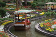 Blumenmeer Bootsfahrt in Nahaufnahme