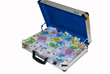 Case with money