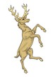 Stag vector
