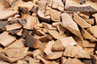 Wood Pile