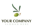 Oliva Company
