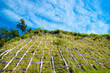 Road to the sky Road to the sky