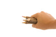 Wood Pencils in Hand