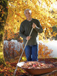 Man raking autumn leaves at edge of lake