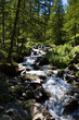 Rivière dans le Mercantour