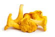 Few chanterelle mushrooms