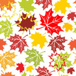 Seamless pattern with autumn leafs