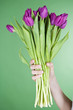 A woman holding a bunch of purple tulips, close-up