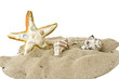 Foto: starfish with shells on the sand starfish with shells on the sand