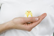 A woman holding an Easter chick toy, close-up
