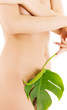 female torso with green leaf over white