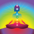 Chakra