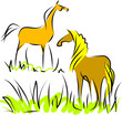 Two horses