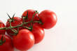 Strauchtomaten rot auf weiss mit Wassertropfen,