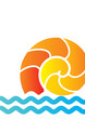 big nautilus shell backdrop
