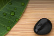 Green leaf and black stone with rain droplets on the bamboo back