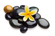 Spa still life with yellow flower on the wet stones Spa still life with yellow flower on the wet stones