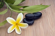Spa still life, with flower and bamboo leafs Spa still life, with flower and bamboo leafs