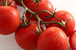 Strauchtomaten rot auf weiss mit Wassertropfen,