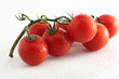 Strauchtomaten rot auf weiss mit Wassertropfen,