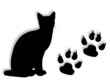 Gatto con orme
