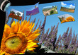 Clichers de Provence Clichers de Provence
