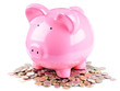 Tirelire / Concept d'argent / finance Tirelire / Concept d'argent / finance