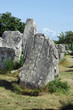 Les alignements de Carnac