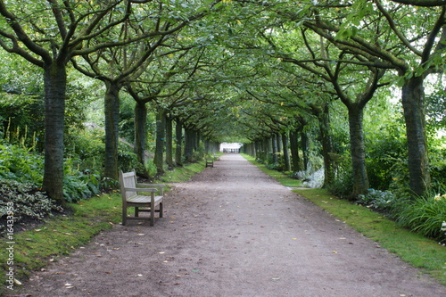 chemin boisé dans le jardin de l'abbaye de Valloires
