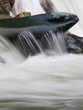 Acqua di cascata su una pietra
