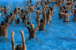 acqua gym