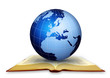Global library Global library