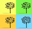 Seasons c