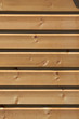 Wood texture